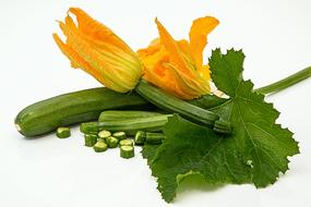 green zucchini and yellow buds