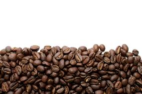 Coffee Beans roast