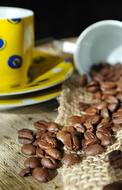 Coffee Still Life