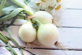 juicy Vegetable Onions