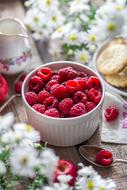 excellent Raspberry Summer