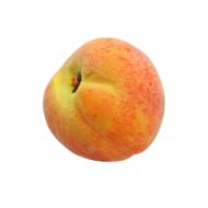 Clipart of orange Peaches Fruit