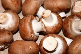 Mushrooms Healthy