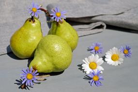 yellow green pears and flowers
