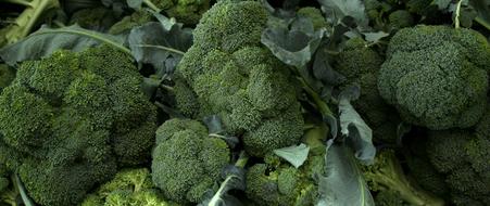 juicy Cabbage Top