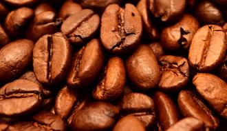 macro photo of roasted coffee beans under a lamp