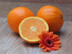 Orange Citrus Fruit and flower gerbera