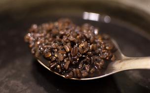 Black Rice Food