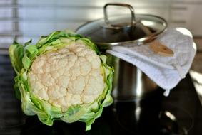 Cauliflower Vegetables and pot