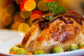 Roasted turkey with vegetables on the plate
