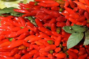 fresh red chili peppers