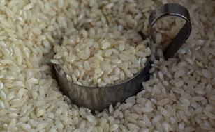 Closeup picture of Rice Grains