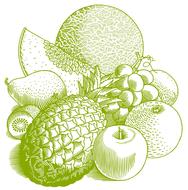fruits vintage food drawing