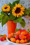 Apricots and Sunflowers, still life