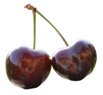 Cherry Pair