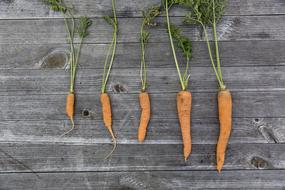 organic carrots of different sizes on a wooden table