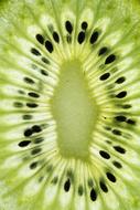 pulp and kiwi seeds close-up