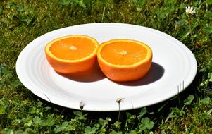 Orange Delicious plate