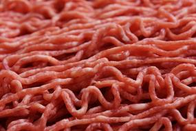 raw minced Meat