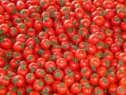 perfect Tomatoes Vegetables Red