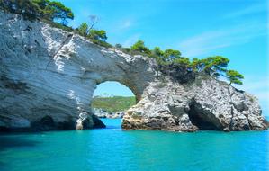 arch in scenic rock formation with the plants on sea at coast