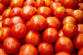 photo of wet sweet cherries tomato