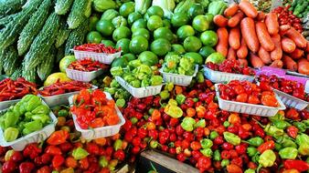 Colorful fresh vegetables and fruits in the market