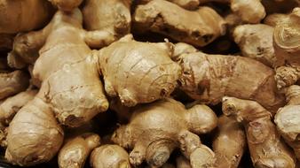lots of ginger root close up