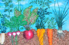 clipart of two carrots twisted together among vegetables in soil