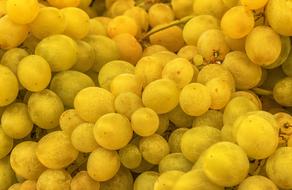 Grape Fruit yellow
