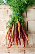purple and yellow carrots