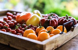 Vegetables Pepper and Tomatoes