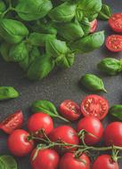 cherry Tomatoes and Basil at black table