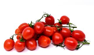 small ripe tomatoes on a branch