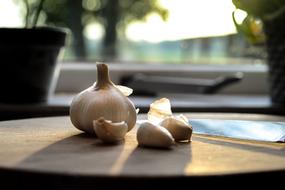 Garlic Kitchen