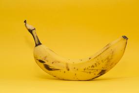 ripe banana on the yellow background