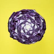 photo of purple cabbage on a yellow background