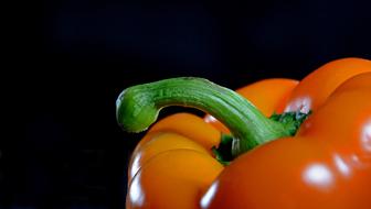 pedicel of bell pepper close up, macro