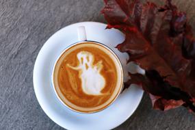 Cup Saucer ghost