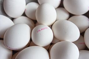 Eggs Stamp Mark