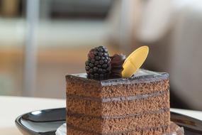 a piece of chocolate cake with blackberries