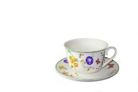 Cup Porcelain drawing