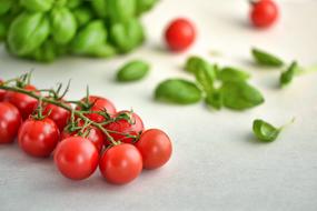 tasty red Tomatoes and Basil, Food