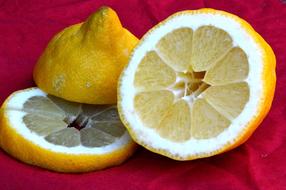 photo of sliced lemon on a burgundy background