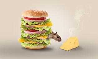 mouse smelling cheese behind hamburger
