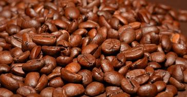 Coffee Beans Aroma