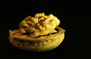 perfect Walnut Nut Seeds