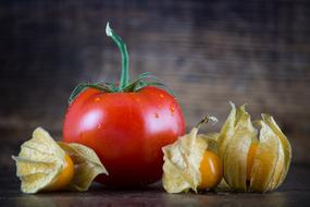 Physalis and Tomato Red