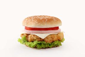 burger with chicken