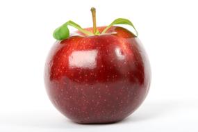 closeup picture of Appetite glossy red Apple